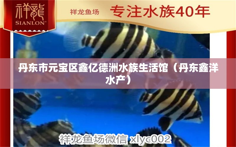 丹東市元寶區(qū)鑫億德洲水族生活館（丹東鑫洋水產）