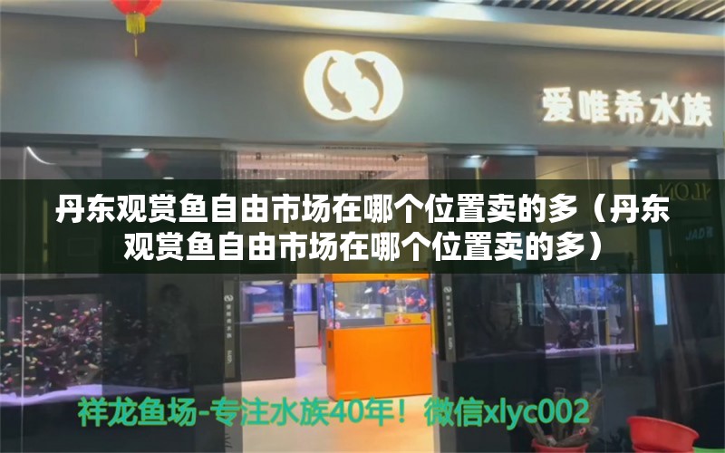 丹東觀賞魚自由市場在哪個位置賣的多（丹東觀賞魚自由市場在哪個位置賣的多） 朱巴利魚