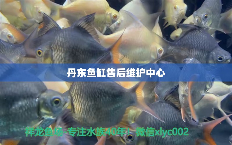 丹東魚缸售后維護中心 其他品牌魚缸