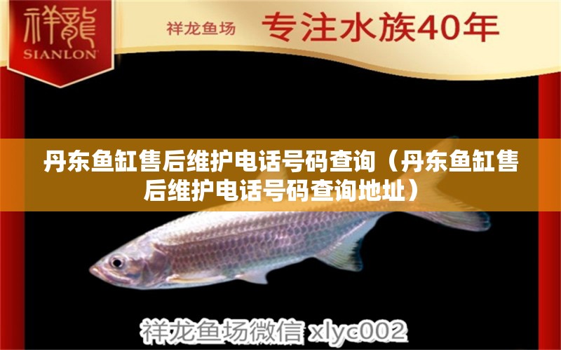 丹東魚(yú)缸售后維護(hù)電話號(hào)碼查詢（丹東魚(yú)缸售后維護(hù)電話號(hào)碼查詢地址）