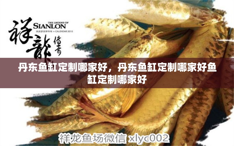 丹東魚(yú)缸定制哪家好，丹東魚(yú)缸定制哪家好魚(yú)缸定制哪家好 養(yǎng)魚(yú)知識(shí)