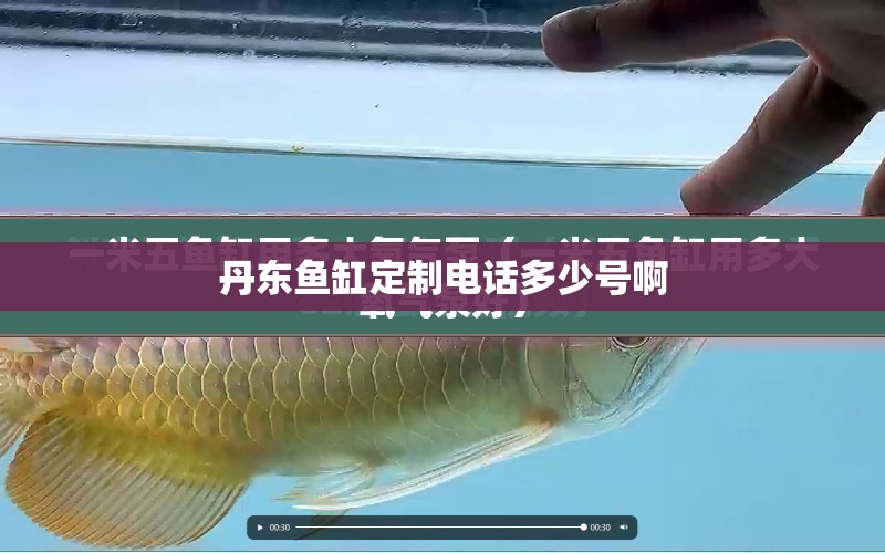 丹東魚缸定制電話多少號啊 水族問答 第1張