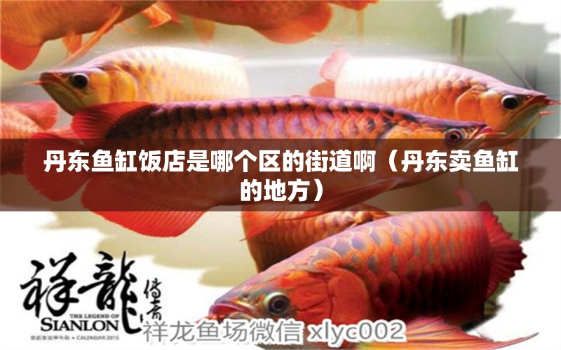 丹東魚缸飯店是哪個區(qū)的街道?。ǖ|賣魚缸的地方） 廣州觀賞魚批發(fā)市場