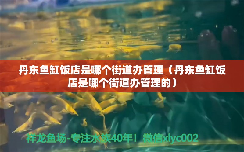 丹東魚缸飯店是哪個街道辦管理（丹東魚缸飯店是哪個街道辦管理的）