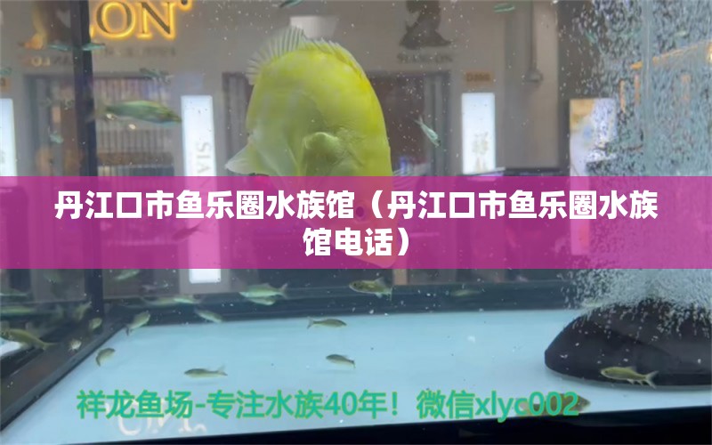 丹江口市魚樂圈水族館（丹江口市魚樂圈水族館電話）