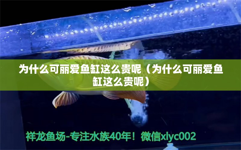 為什么可麗愛魚缸這么貴呢（為什么可麗愛魚缸這么貴呢）