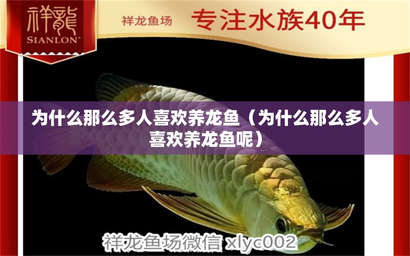 為什么那么多人喜歡養(yǎng)龍魚(yú)（為什么那么多人喜歡養(yǎng)龍魚(yú)呢） 量子養(yǎng)魚(yú)技術(shù)