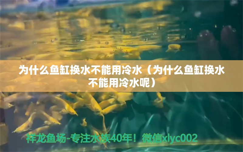 為什么魚缸換水不能用冷水（為什么魚缸換水不能用冷水呢）