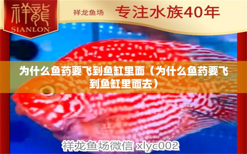 為什么魚藥要飛到魚缸里面（為什么魚藥要飛到魚缸里面去）