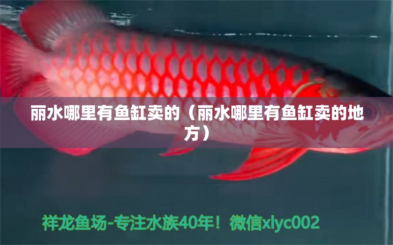 麗水哪里有魚(yú)缸賣(mài)的（麗水哪里有魚(yú)缸賣(mài)的地方） 其他品牌魚(yú)缸