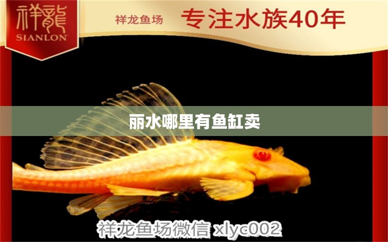 麗水哪里有魚缸賣 其他品牌魚缸