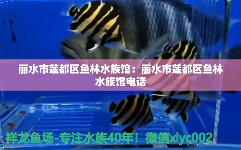 麗水市蓮都區(qū)魚林水族館：麗水市蓮都區(qū)魚林水族館電話