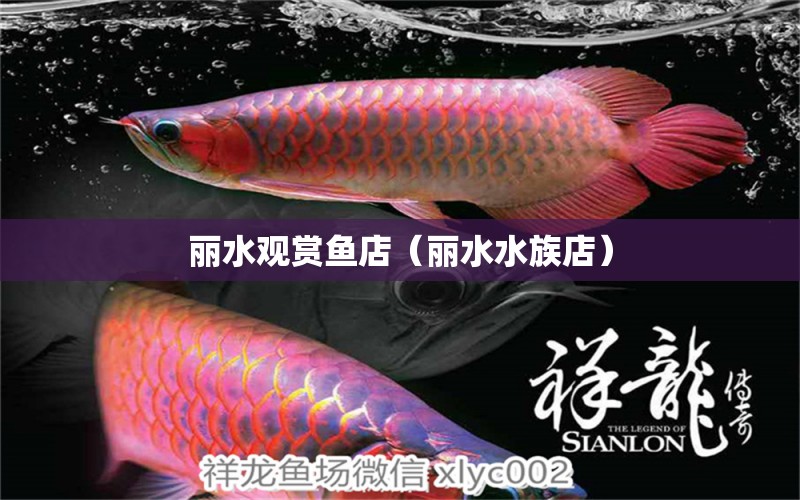 麗水觀賞魚(yú)店（麗水水族店）