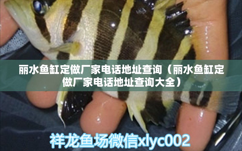 麗水魚缸定做廠家電話地址查詢（麗水魚缸定做廠家電話地址查詢大全） 女王大帆魚