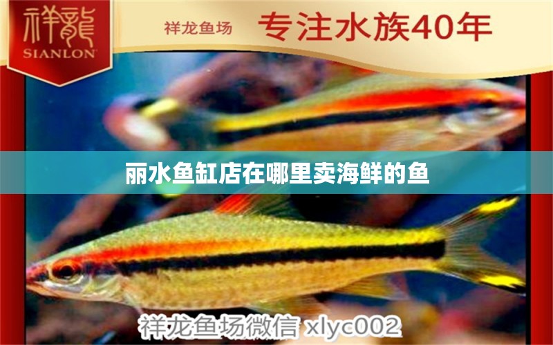 麗水魚缸店在哪里賣海鮮的魚 祥龍魚場