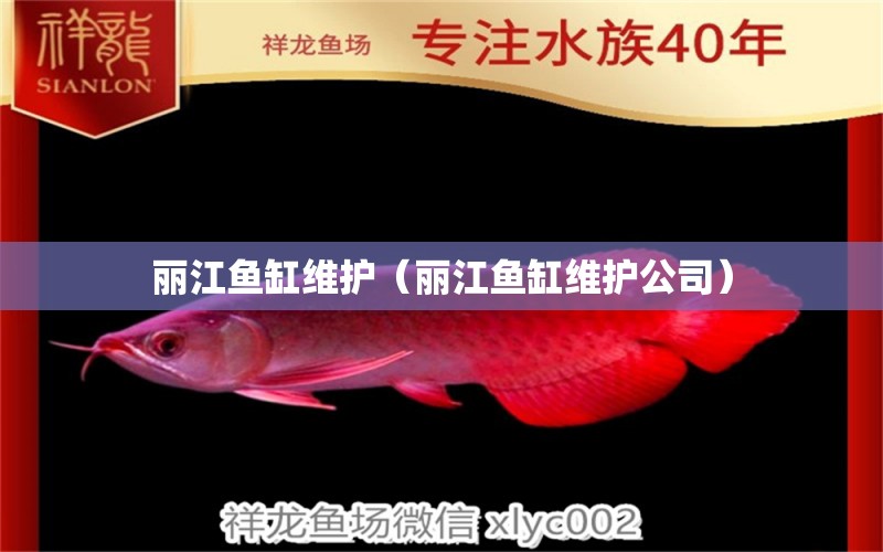 麗江魚缸維護（麗江魚缸維護公司） 祥龍魚場