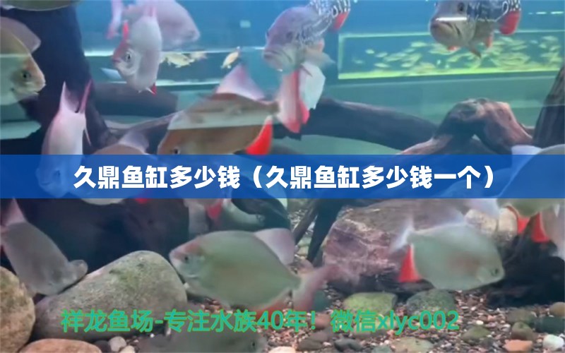 久鼎魚缸多少錢（久鼎魚缸多少錢一個(gè)） 魚缸水泵