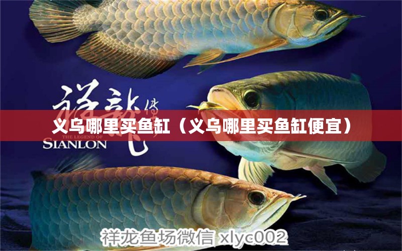 義烏哪里買魚缸（義烏哪里買魚缸便宜）