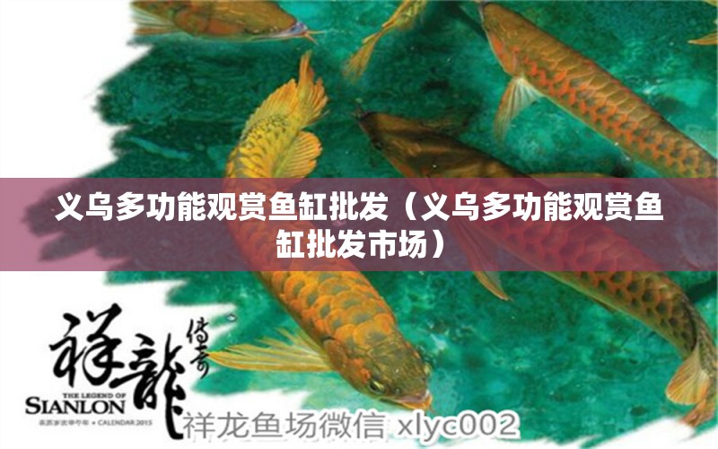 義烏多功能觀賞魚缸批發(fā)（義烏多功能觀賞魚缸批發(fā)市場） 其他品牌魚缸