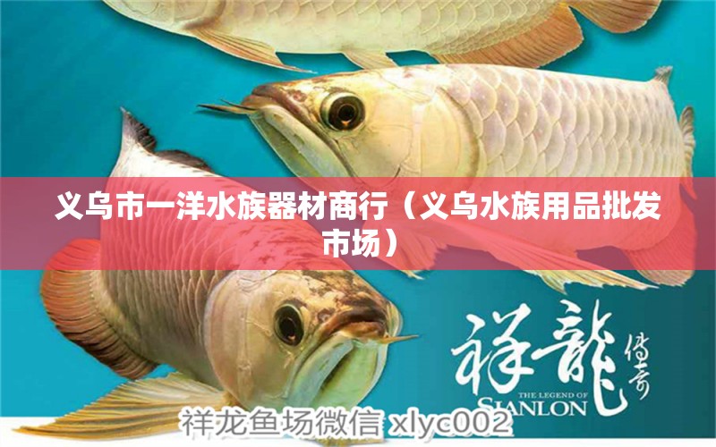 義烏市一洋水族器材商行（義烏水族用品批發(fā)市場） 水族用品