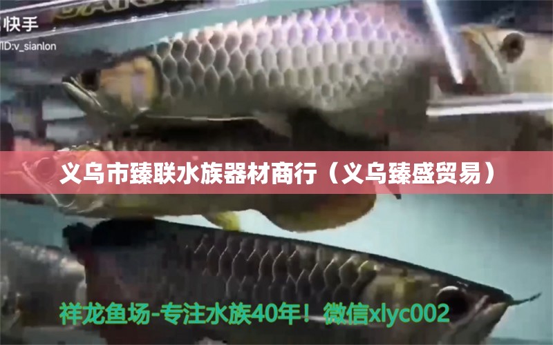 義烏市臻聯(lián)水族器材商行（義烏臻盛貿(mào)易）