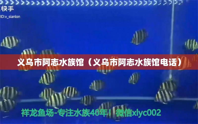 義烏市阿志水族館（義烏市阿志水族館電話）