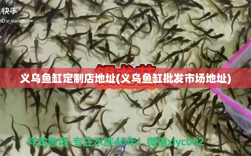 義烏魚缸定制店地址(義烏魚缸批發(fā)市場地址) 電鰻