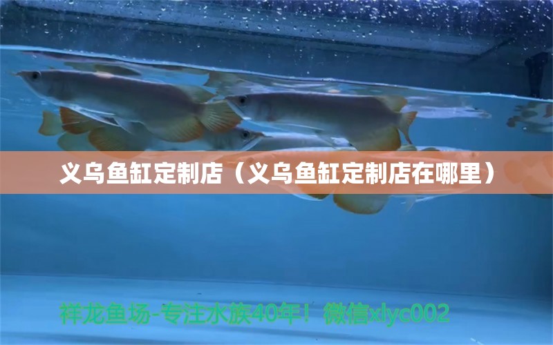 義烏魚缸定制店（義烏魚缸定制店在哪里）