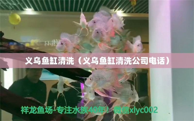 義烏魚缸清洗（義烏魚缸清洗公司電話）