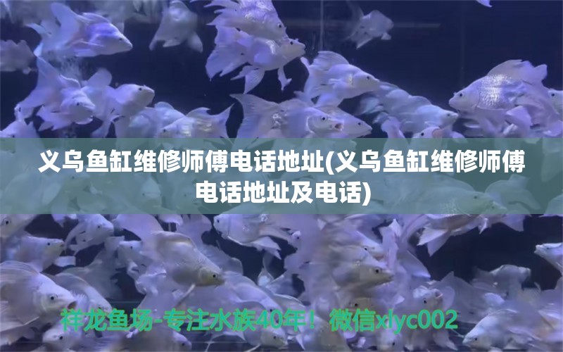 義烏魚缸維修師傅電話地址(義烏魚缸維修師傅電話地址及電話) 短身紅龍魚