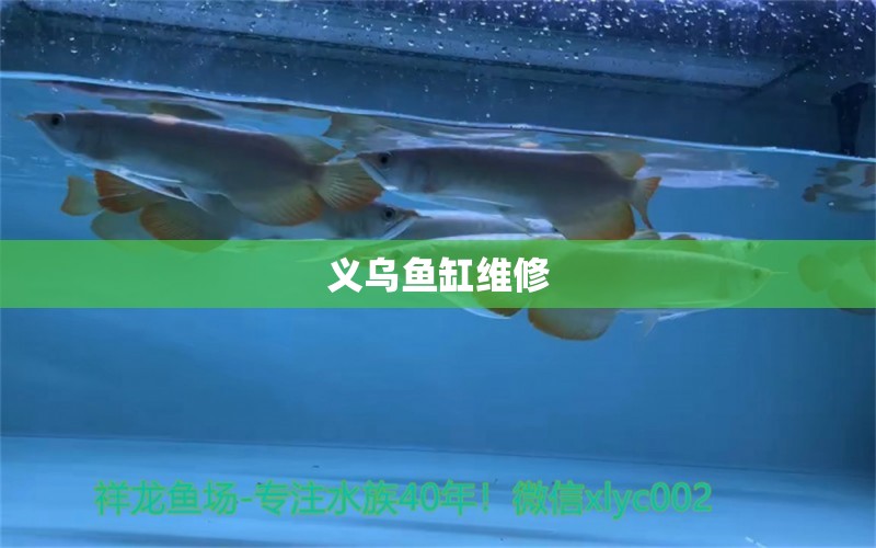 義烏魚缸維修 其他品牌魚缸