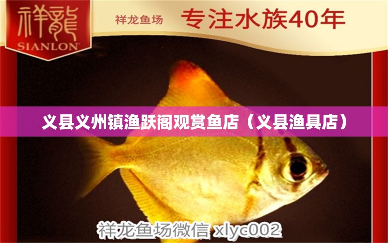 義縣義州鎮(zhèn)漁躍閣觀賞魚店（義縣漁具店） 全國水族館企業(yè)名錄