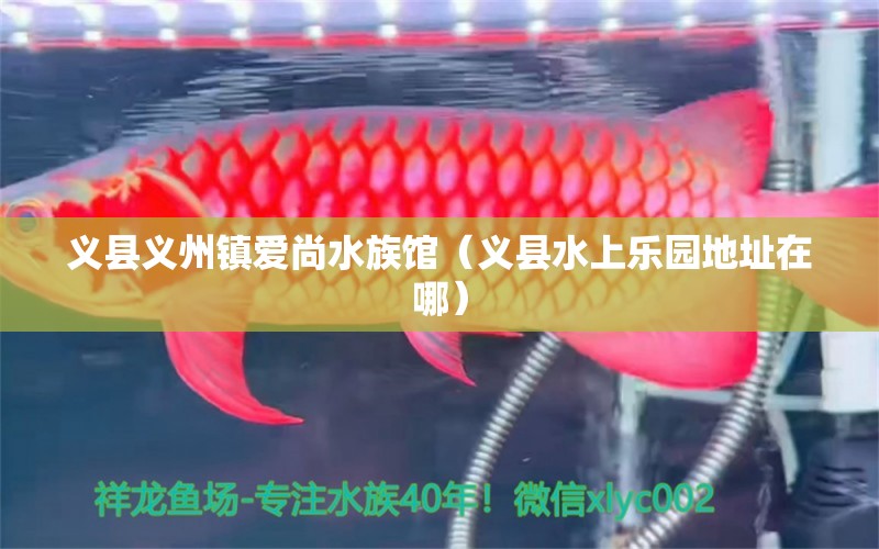 義縣義州鎮(zhèn)愛尚水族館（義縣水上樂園地址在哪）