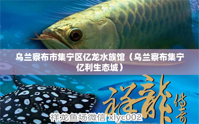 烏蘭察布市集寧區(qū)億龍水族館（烏蘭察布集寧億利生態(tài)城）