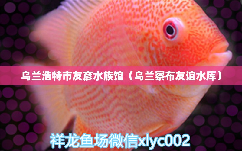 烏蘭浩特市友彥水族館（烏蘭察布友誼水庫）