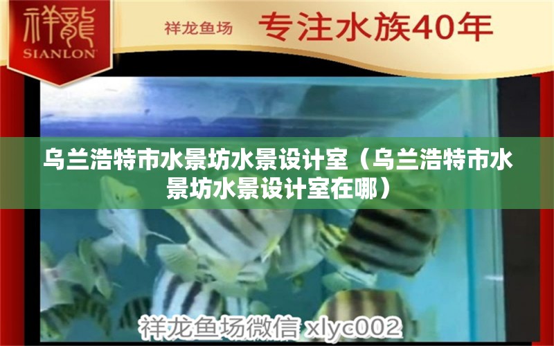 烏蘭浩特市水景坊水景設計室（烏蘭浩特市水景坊水景設計室在哪） 全國水族館企業(yè)名錄