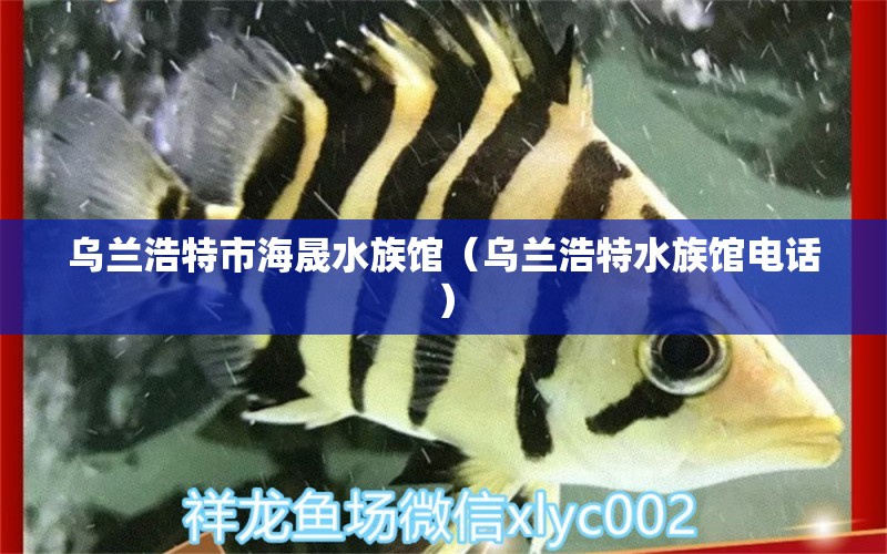 烏蘭浩特市海晟水族館（烏蘭浩特水族館電話）