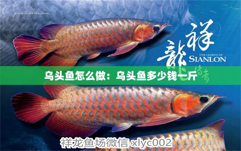 烏頭魚怎么做：烏頭魚多少錢一斤