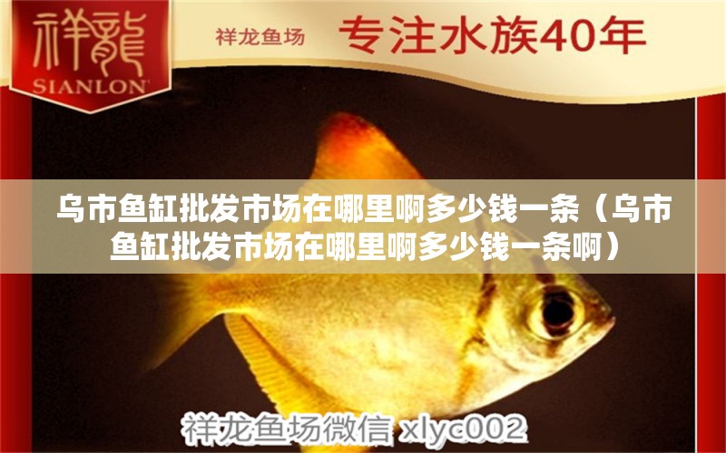 烏市魚缸批發(fā)市場在哪里啊多少錢一條（烏市魚缸批發(fā)市場在哪里啊多少錢一條?。? title=