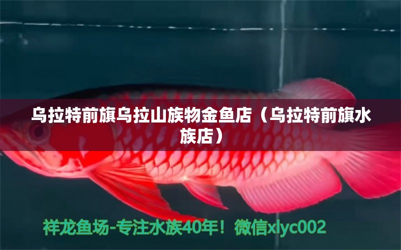 烏拉特前旗烏拉山族物金魚店（烏拉特前旗水族店）