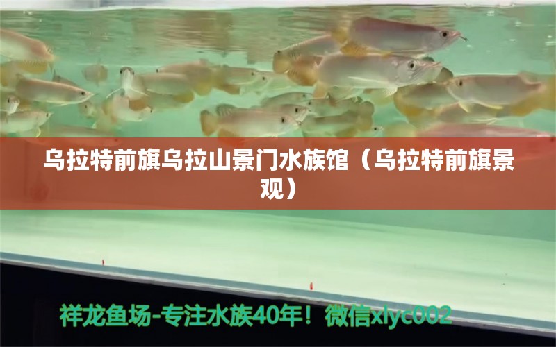 烏拉特前旗烏拉山景門水族館（烏拉特前旗景觀）