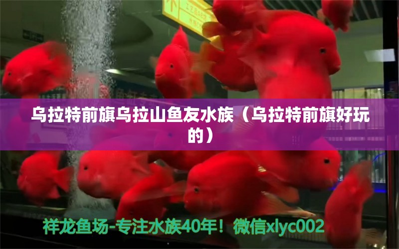 烏拉特前旗烏拉山魚友水族（烏拉特前旗好玩的）