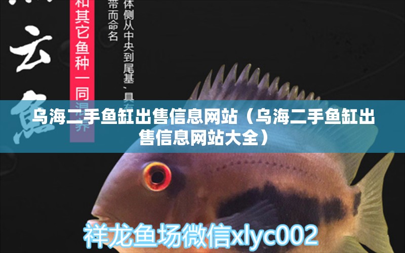 烏海二手魚缸出售信息網(wǎng)站（烏海二手魚缸出售信息網(wǎng)站大全） 觀賞魚水族批發(fā)市場