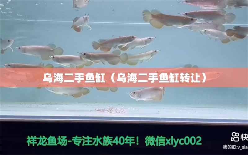 烏海二手魚缸（烏海二手魚缸轉(zhuǎn)讓）