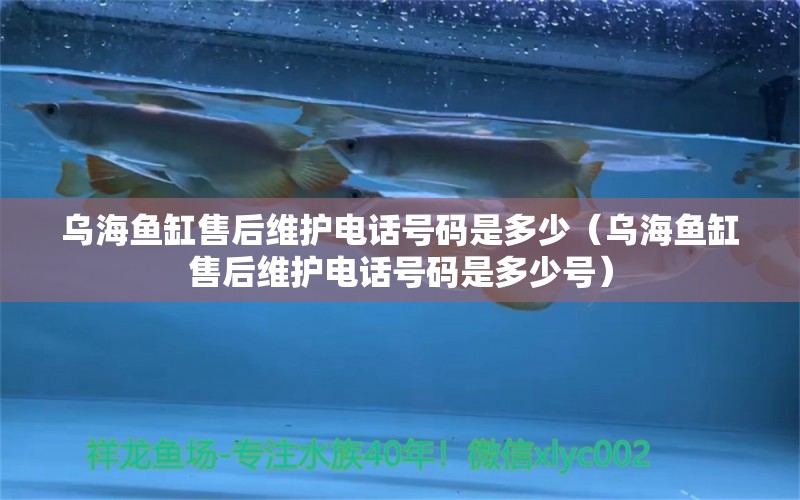 烏海魚缸售后維護電話號碼是多少（烏海魚缸售后維護電話號碼是多少號）