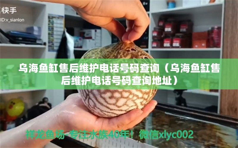 烏海魚缸售后維護電話號碼查詢（烏海魚缸售后維護電話號碼查詢地址）