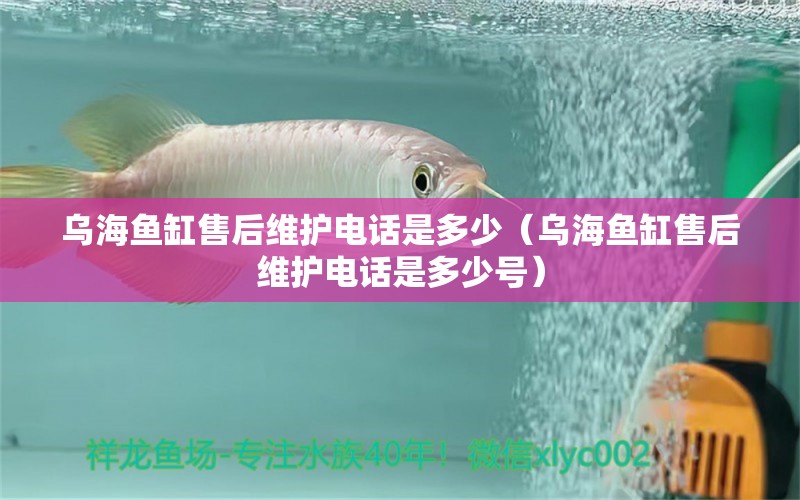 烏海魚缸售后維護電話是多少（烏海魚缸售后維護電話是多少號）