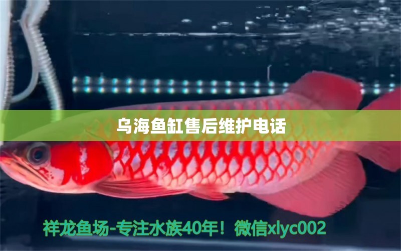 烏海魚缸售后維護電話