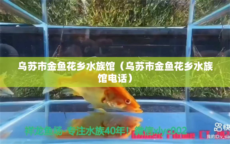 烏蘇市金魚花鄉(xiāng)水族館（烏蘇市金魚花鄉(xiāng)水族館電話） 全國(guó)水族館企業(yè)名錄