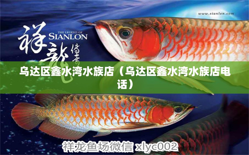 烏達(dá)區(qū)鑫水灣水族店（烏達(dá)區(qū)鑫水灣水族店電話）